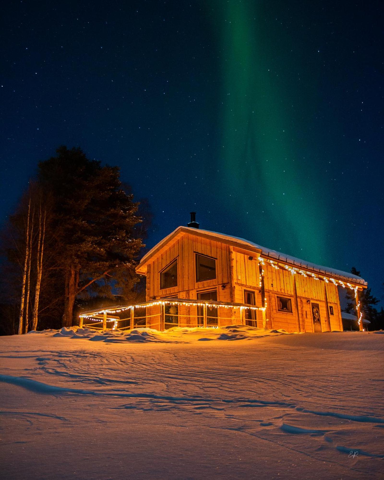 Blueberry Lodge 5 Personnes Mjolan Exterior foto