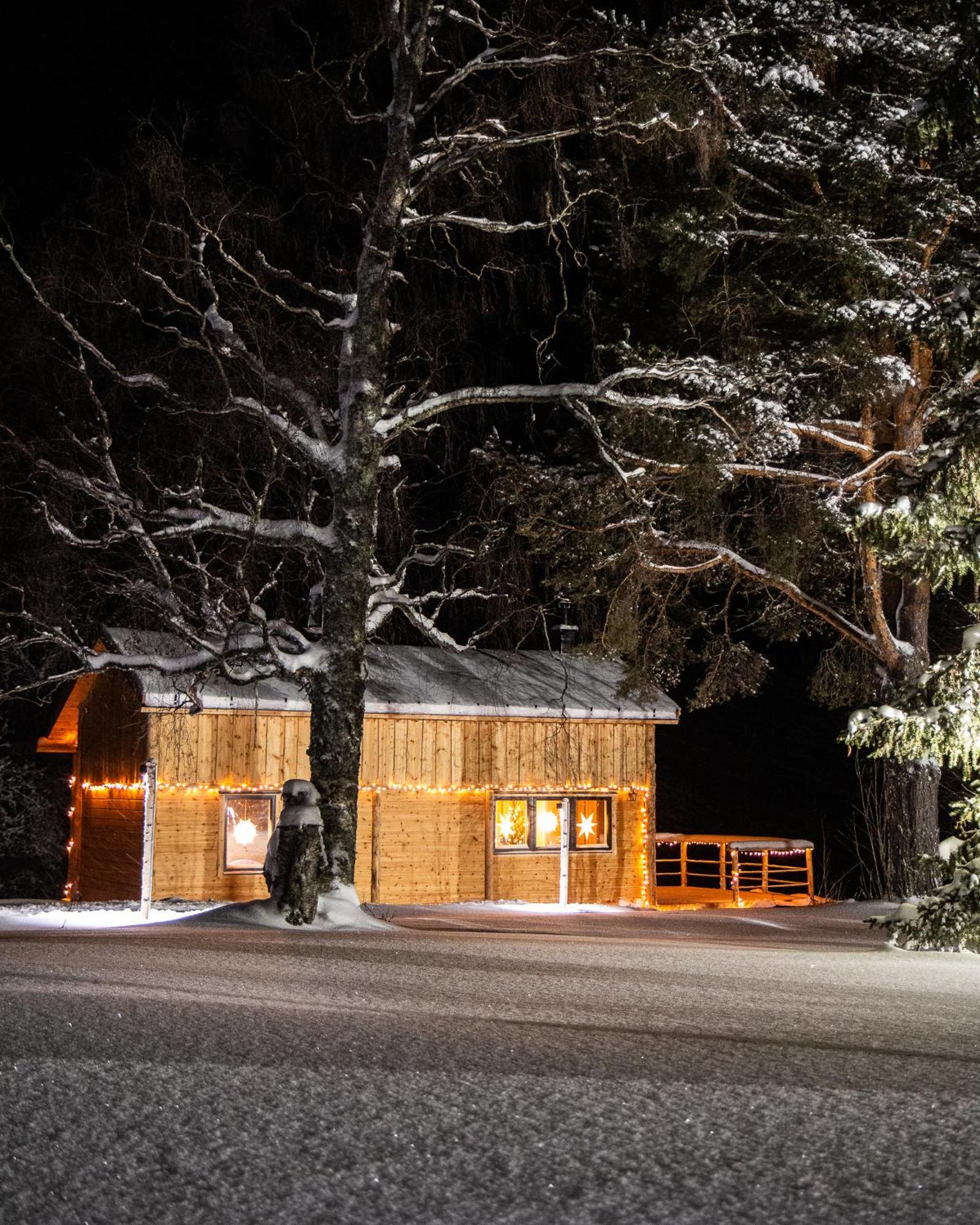 Blueberry Lodge 5 Personnes Mjolan Exterior foto